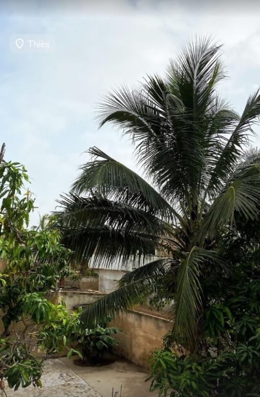 Erstes Foto nach der Ankunft im Senegal